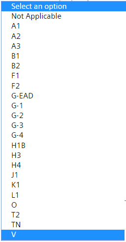 visa_status.png