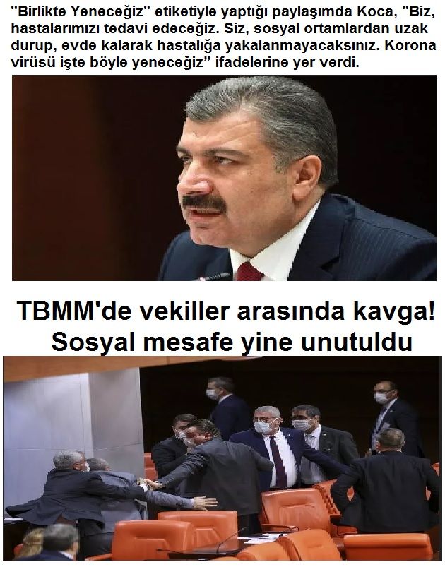 sonn.jpg