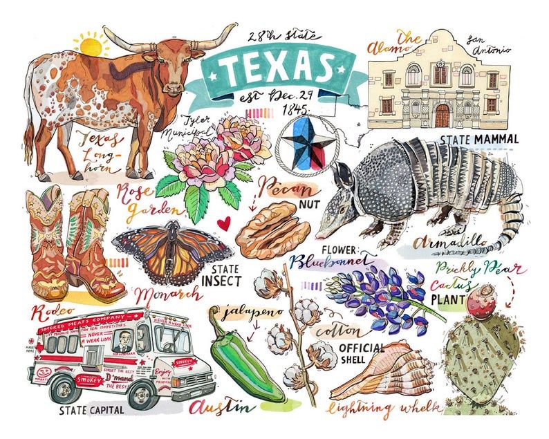 texas.jpg