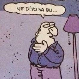 ViSiSoHz.jpeg