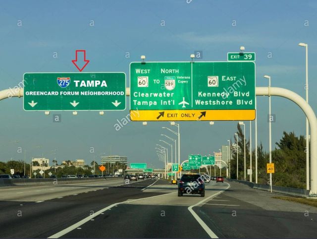 tampa.jpg