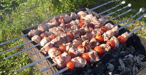 mangal-11.png