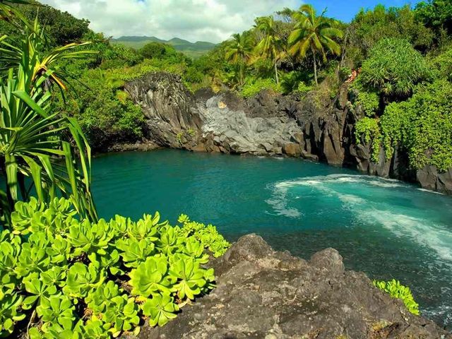 b_Hawaii_2_Copy.jpg