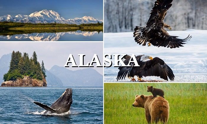 Alaska-.jpg
