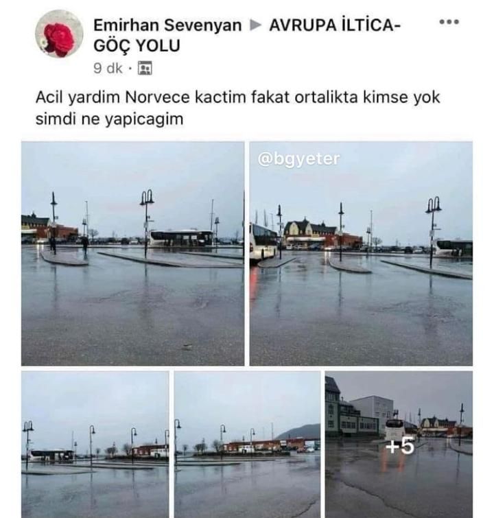 nor11.jpeg