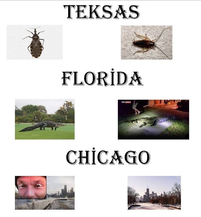 FF.jpg