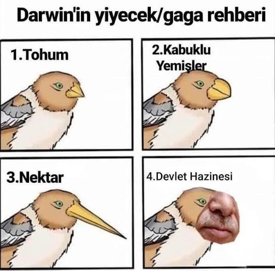 images.jpeg