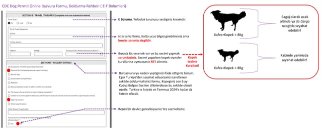 3- CDC Form EF.jpg