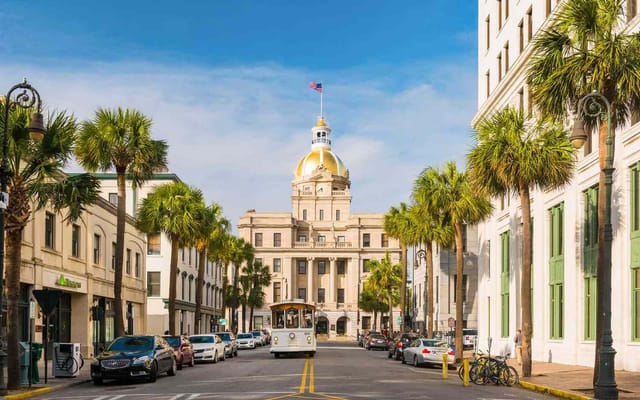 savannah.jpg