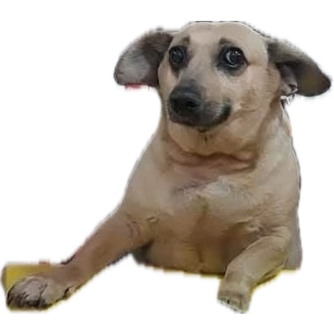 e5d046d2-9d3f-48a0-8153-b2e4725f5eeb-image.png