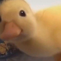 It s thilda