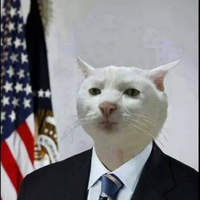 Macera Dolu Amerika